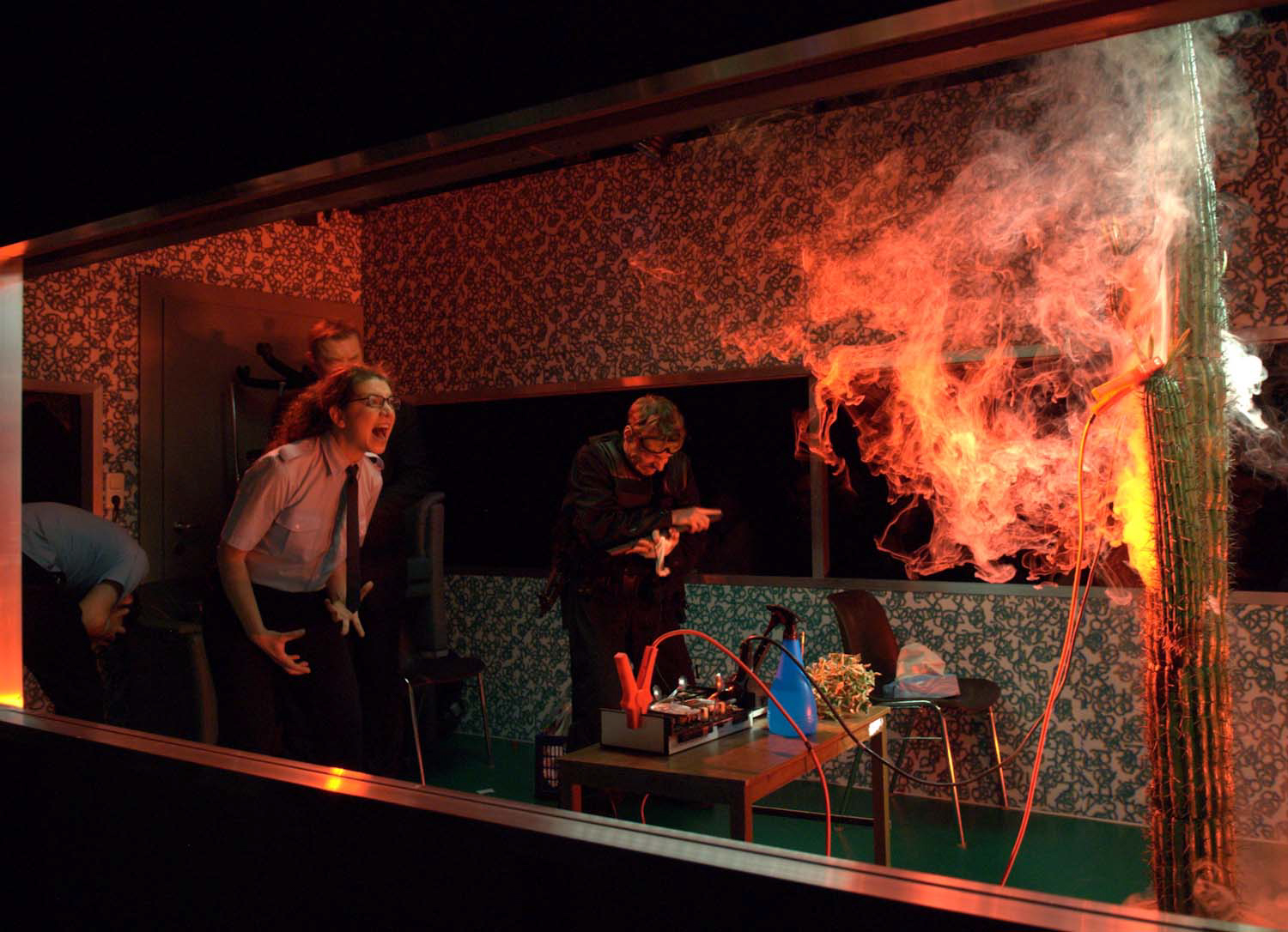 "Der Kaktus" - Juli Zeh